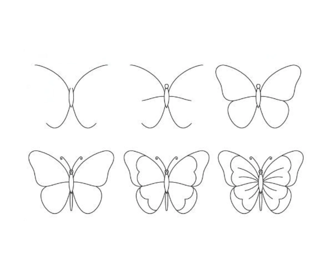 Easy simple butterfly pencil drawing step by step for beginners with wing pattern and shading