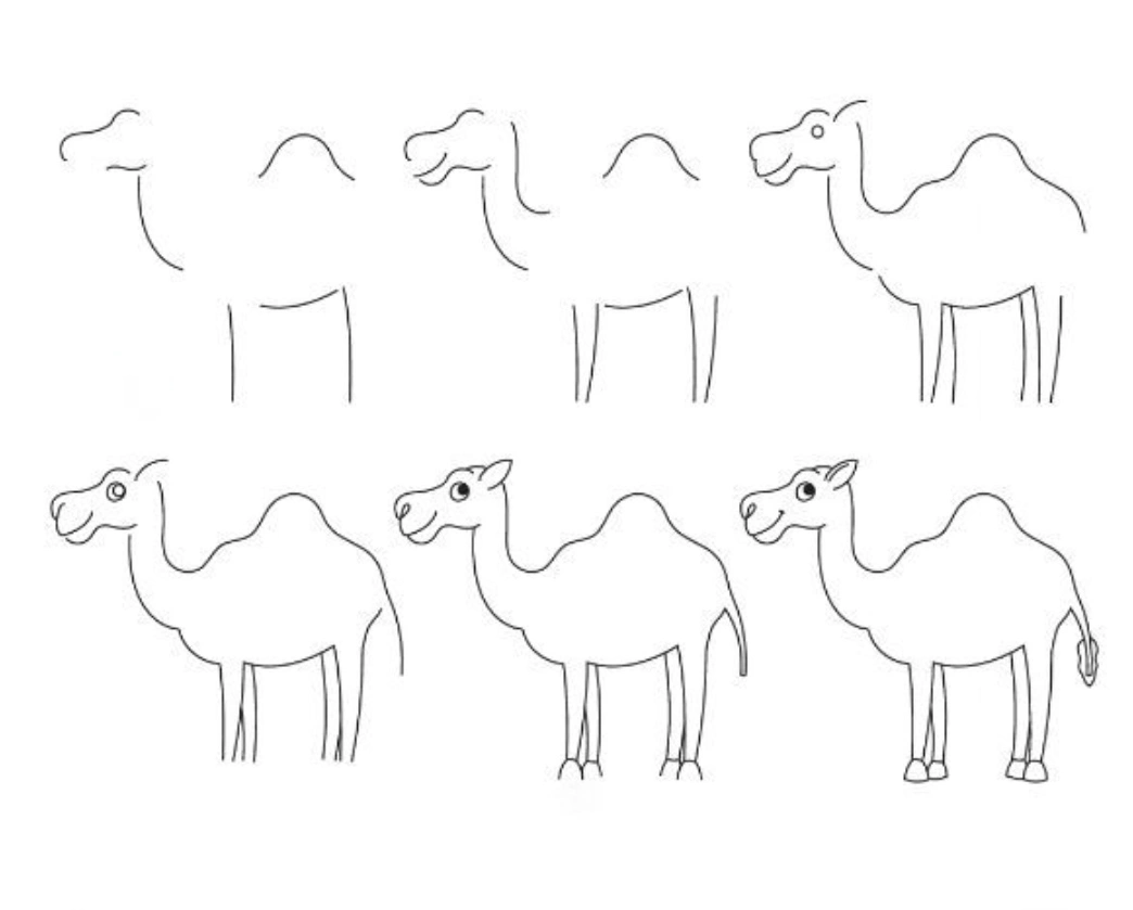 Simple and easy camel drawing step by step for beginners and kids with pencil &mdash; 6 steps