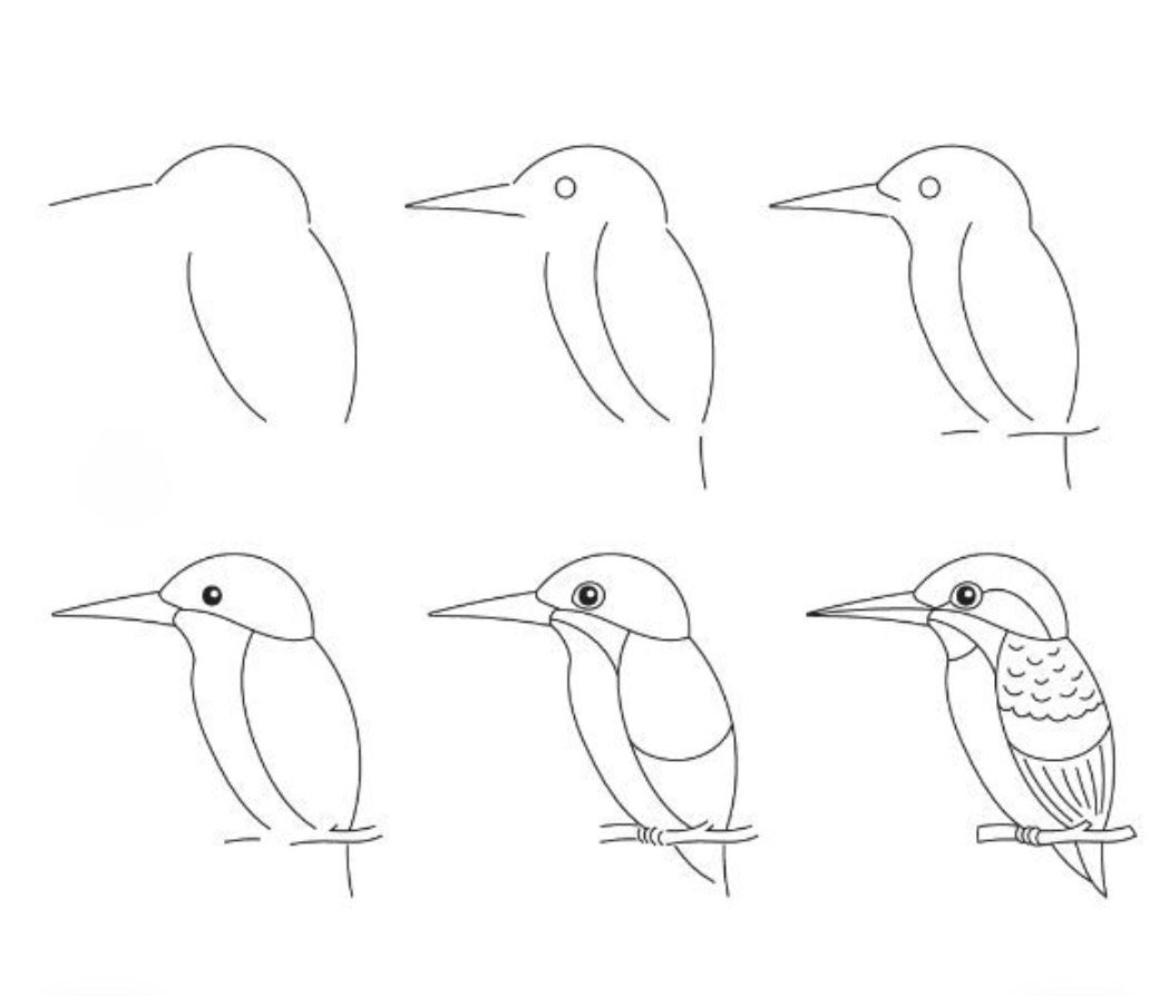 Aesthetic simple easy kingfisher bird drawing step by step for beginners with pencil &mdash; 6 steps