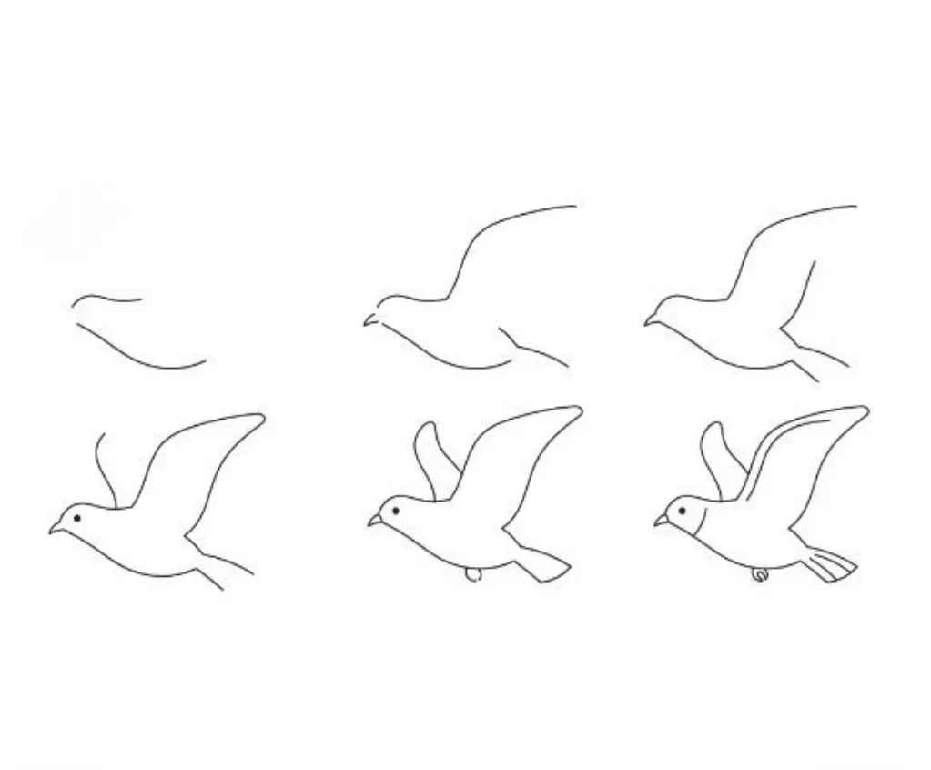 Cool simple easy flying pigeon drawing step by step for beginners with pencil &mdash; 6 steps