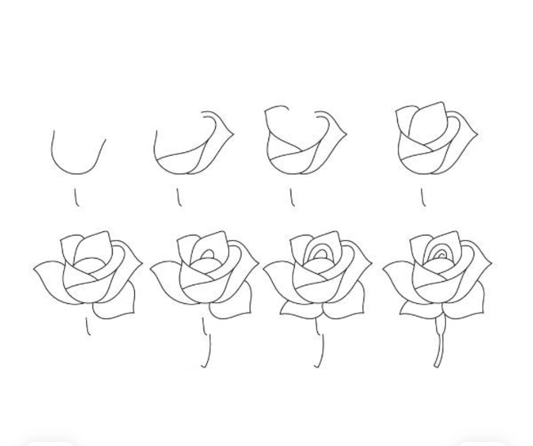Easy and beautiful rose pencil drawing step by step for beginners &mdash; 8-step tutorial with shading